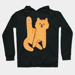 Orange Cat Licking Butt Hoodie